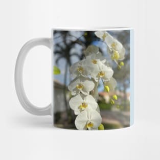 White Orchid With Yellow Mug